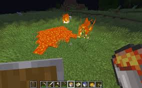 How To Be Immune To Lava - Inventory Pets - 1.19.2 - Youtube