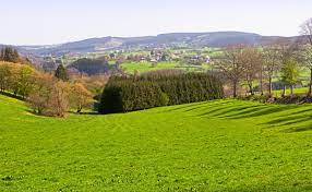 השמאל היהודי והלא יהודי התגרו בבית ר מתחילת קיומה. 2