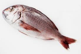 Breca Precio 12 Euros Kg Fueradeserie Gastro Expansion Com