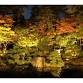 Former Saito Family Villa Autumn Foliage Light-Up event image