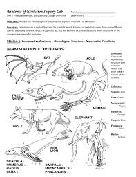 What is the direct evidence in support of the theory of natural selection? Evidence Of Evolution Inquiry Lab Name