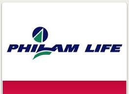 A few of the mining companies are bulawan, chamber of mines, and bandoro mining inc. Top Insurance Companies In The Philippines Ifranchise Ph