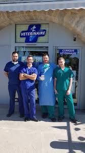 Un doctorat est l'abréviation de docteur en philosophie. Formation Du Dr Fabien Collard Miloa Veterinary Expert Facebook