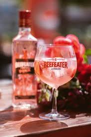 Pink Drinks Im Sommer Trend 2018 Hotelstyle At In 2020 Pink Gin Kurbis Smoothie Ananas Smoothie