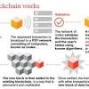 Bitcoin has doubled in value more than 10 million times since its inception in 2009. Https Encrypted Tbn0 Gstatic Com Images Q Tbn And9gcsliuyenu0xh1ajwyuxgpy3ct J Vph6c7tzfaoo3mgrhycyo Usqp Cau