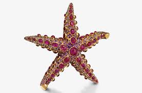 Marine scientists have undertaken the difficult task of replacing the beloved starfish's common name with sea star because, well, the starfish is not a fish. A Splendid Sight To Sea Boivin Starfish Brooch Jewelry Connoisseur