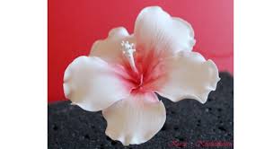 Kurze S Kostlichkeiten Tutorial Hibiskusblute Aus Blutenpaste Blutenpaste Hibiskus Zuckerblumen