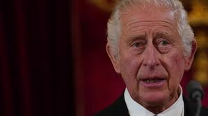King Charles III formally declared head of state: Key moments from the  Accession Council