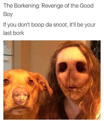 The Scariest H Ckin Horror Movie You Could Ever Do A See Rated Gb 13 Good Boyes 13 Doggo Yrs Or Older R Rarepuppers