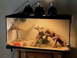 Diy bearded dragon cagehomemade bearded dragon enclosurehow to build a reptile cage with plexiglassfun facts about bearded dragon this cage is a small glasshouse specially made for bearded dragon. Bearded Dragon Tank Setup 101 How To Create The Best Home For Your Ne Dragon S Diet