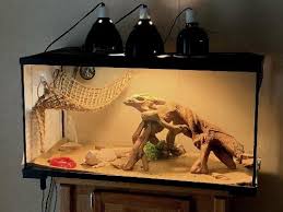 The actual cage, light, substrate and some decor like hides and stuff like that. Bearded Dragon Tank Setup 101 How To Create The Best Home For Your Ne Dragon S Diet