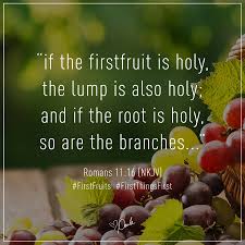 Paula White Cain This Is The Year You Inherit Your Promised Land God Declares When You Come Into The Land Which I Give You And Reap Its Harvest Then You Shall Bring