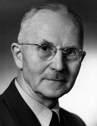 Yachten und Yachttender für amerika