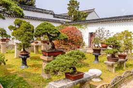 Here's when to start, what to grow and how to succeed in producing a bounty of food. Nature Of The Humble Administrator S Garden A Chinese Garden Stock Photo Picture And Royalty Free Image Image 92285365