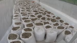 They inhabit woodlands and savannas in southern. Illegal Pangolin Scale Seizure Crosses 100 Million Mark Cgtn