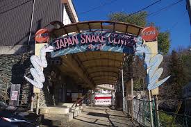 レトロでディープな観光名所。ジャパンスネークセンターと三日月村を巡る【ぐんま観光県民ライター（ぐん記者）】 | 特集一覧 | 心にググっと観光ぐんま