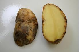 Pour cette recette de pommes de terre rôties au four, vous pouvez compter 25 min de préparation. Pomme De Terre Mildiou Jardiner Autrement