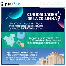 Curiosidades De La Columna Vertebral Tips