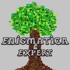 Watch hypno play through the enigmatica 2 expert modpack! New Enigmatica 2 Expert Server Launch Mineyourmind Community