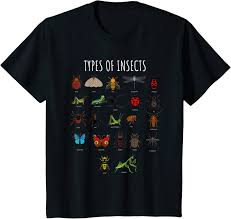 Children develop their early understanding of insects from books, movies, and the adults in their l. Buy Kids Types Of Insects T Shirt Bug Identification Science Tee Online In Canada B07jj1l52z