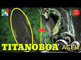 Maybe you would like to learn more about one of these? Video Ngeri Ular Purba Raksasa Titanoboa