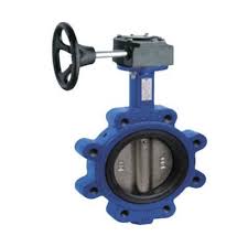 Gold metal branches brighten your home. Types Of Butterfly Valves Api 609 Projectmaterials