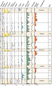 Image result for Laurembergia tetrandra