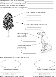 Comparison of photosynthesis and respiration photosynthesis: Unit 5 Photosynthesis And Cellular Respiration Pdf Free Download
