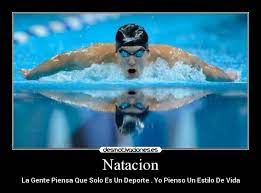 Frases Lindas De Natacion Google Search Natacion Programa De Entrenamiento Entrenamiento Funcional