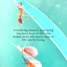 Because to me you are. Best Friendship Messages Friend Text Messages For Him And Her