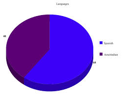 Pie Charts India And Guatemala