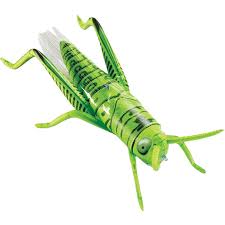 This will help get your head on straight to how grasshopper is organized and is used. Eco Friendly Pvc Inflatable Grasshopper Giant Plasticjumping Small Insect Funny Vinyl Grasshopper 3d Model Toys For Kids Buy Plastic Small Insects Toys Jumping Insect Toy Inflatable Grasshopper Product On Alibaba Com