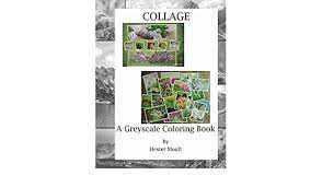 I give ger a 5 star rating. Collage A Greyscale Coloring Book Amazon De Moult Hester Fremdsprachige Bucher