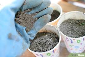 Check spelling or type a new query. How To Grow Herb Gardens From Seed 6 Steps With Pictures