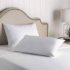 Amazon Com Premium Bed Bugs Pillow Protector A Set Of 2 Pillow Protectors Queen 21 X 28 Home Kitchen