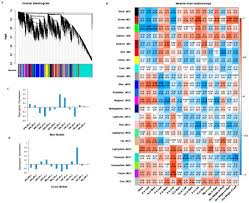 See more of tan peng sam & co. Ijms Free Full Text Transcriptomic And Co Expression Network Profiling Of Shoot Apical Meristem Reveal Contrasting Response To Nitrogen Rate Between Indica And Japonica Rice Subspecies Html