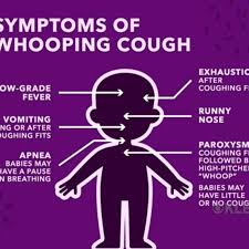 Whooping cough caused thousands of deaths in the 1930s and 1940s. Urgent Alert Case Of Whooping Cough Confirmed In Idaho County Klew