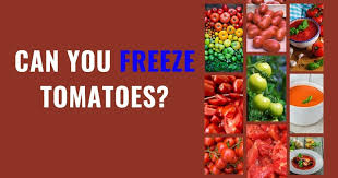 Can you freeze cherry tomatoes from the garden. Can You Freeze Tomatoes Here S How You Can Do It Right