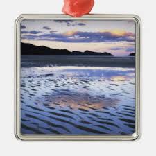 Maybe you would like to learn more about one of these? New Zealand Beach Christmas Tree Decorations Ornaments Zazzle Co Nz