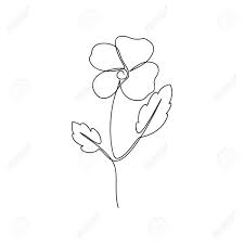Maybe you would like to learn more about one of these? Continuous Line Flower One Line Drawing Of Viola Flower Hand Drawn Royalty Free Cliparts Vectors And Stock Illustration Image 126780256