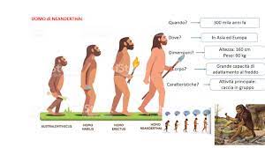 L'uomo di neanderthal aveva il dito anulare più lungo dell'indice, una particolarità che sembra tipica di tutti coloro che hanno in circolazione elevate quantità di questo ormone. Uomo Di Neanderthal Aiutoperstudiare