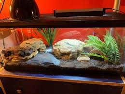 I Upgraded My Leopard Gecko S Tank To Something More Naturalistic I M Also Using Uvb And A Deep Heat Proje Leopard Gecko Leopard Gecko Tank Leopard Gecko Cute