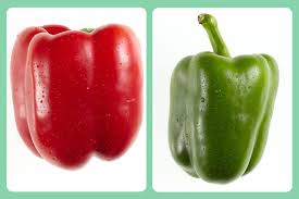 Image result for Capsicum