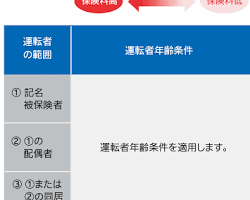 損保ジャパンの自動車保険の画像