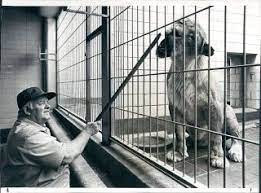 The Circus No Spin Zone Vintage Zookeeper Philadelphia Zoo 1961 Philadelphia Zoo Zoo Philadelphia