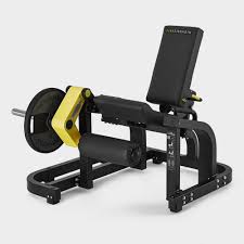 Pure Leg Extension No Equipment Workout At Home Gym Technogym