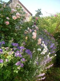 Pin On Garden