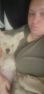 This is Ted's world and we are all just visitors here 🐶🌍