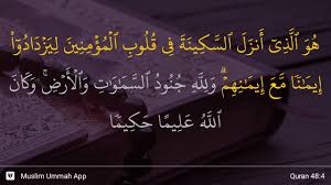 Di samping itu, ayat diatas juga menerangkan. Surah Al Fath Ayat 4 Qs 48 4 Tafsir Alquran Surah Nomor 48 Ayat 4