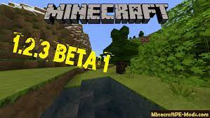 Because the education edition is actually just an expanded version of the bedrock edition of minecraft available on xbox one, playstation 4, nintendo . Download Minecraft Pe 1 2 3 6 Full Apk Windows 10 Xbox One